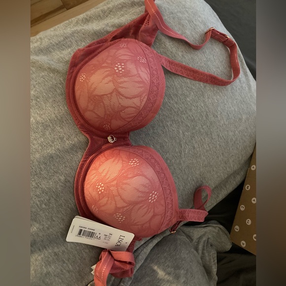 NEW Push up Pink Bra - Picture 2 of 7